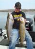 Green Bay Wisconsin Brown Trout Fishing